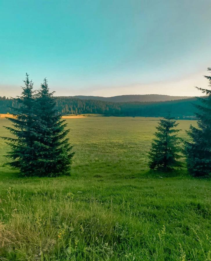 Alpin Apartments Влашич Екстериор снимка