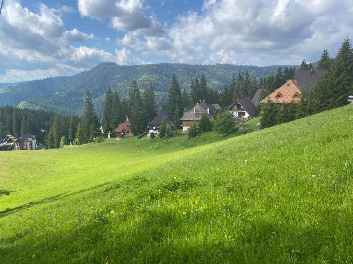 Alpin Apartments Влашич Екстериор снимка